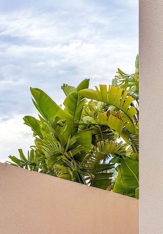 Casa pareada en alquiler en Cala Vedella - Cala Tarida - Cala Conta en Sant Josep de sa Talaia