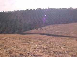 Terreno en venta en Coín