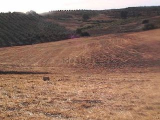 Terreno en venta en Coín