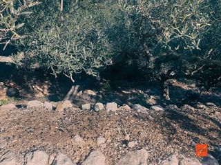 Terreno en venta en Nord en Sant Carles de la Ràpita