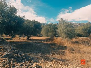 Terreno en venta en Nord en Sant Carles de la Ràpita