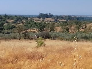 Terreno en venta en Madrigal de la Vera