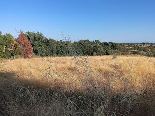 Terreno en venta en Madrigal de la Vera