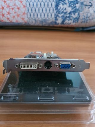 Scheda Video Point View FX5500 256MB