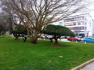 Local comercial en alquiler en General Dávila en Santander