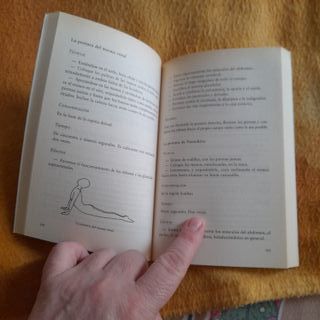 Yoga Para una Vida Sana / Yoga for Everyone (Te...