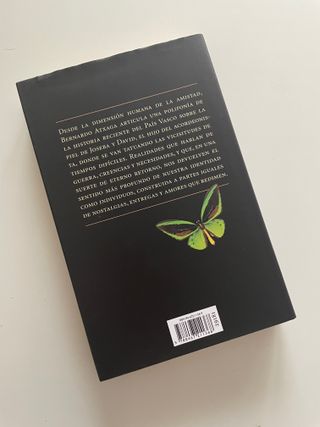 El hijo del acordeonista