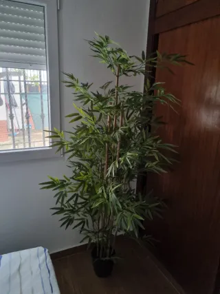 Vendo planta bambú artificial.