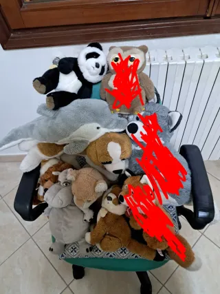 Peluche