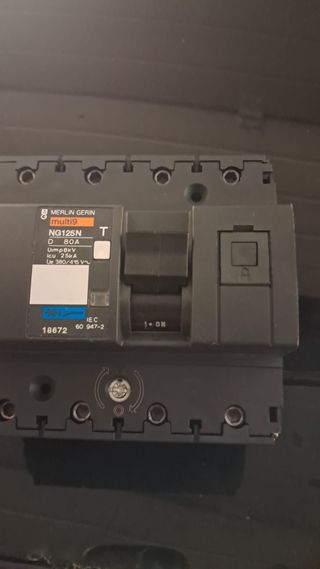 Interruttore Merlin Gerin NG125N 80A