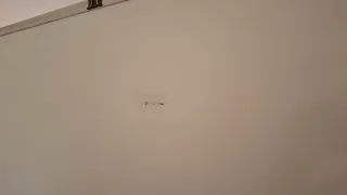 Pizarra blanca metálica con ruedas