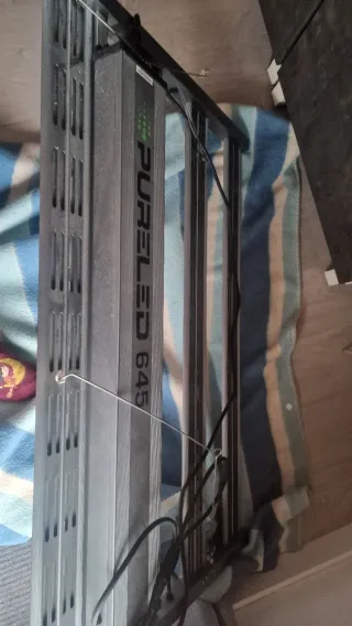 Lámpara LED Cultivo PuréLED 650W+otra 300w pequeña