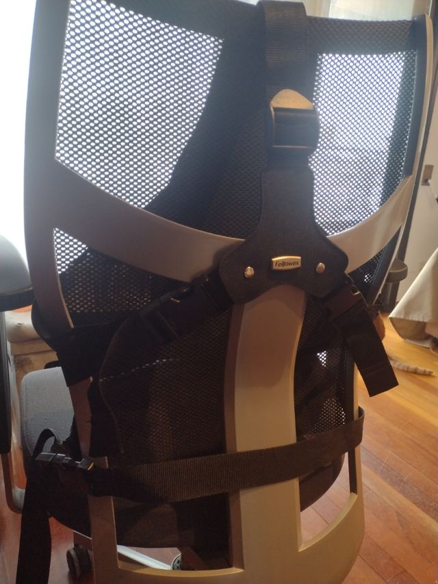 Respaldo Ergonómico Fellowes Profesional