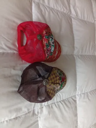 Gorras Ed Hardy Skull & Koi