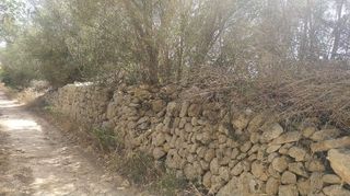 Solar en venta en Algaida