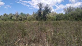 Solar en venta en Algaida