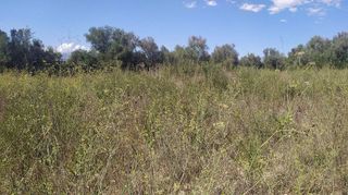 Solar en venta en Algaida