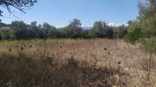 Solar en venta en Algaida