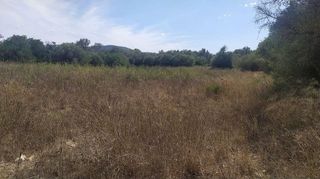 Solar en venta en Algaida