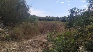 Solar en venta en Algaida