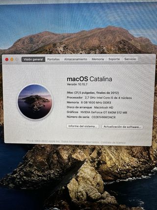 Ordenador iMac 21,5 Apple Plata