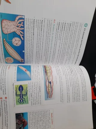 Biología, Geología y CC. Ambientales 1º Bachill...