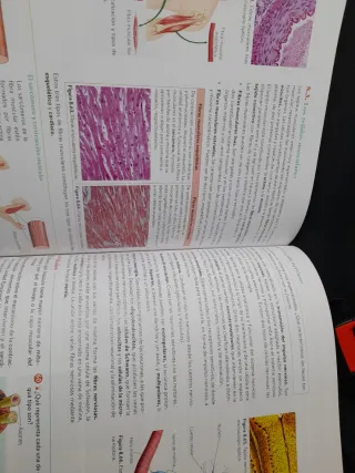 Biología, Geología y CC. Ambientales 1º Bachill...