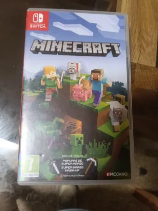 Minecraft Nintendo Switch