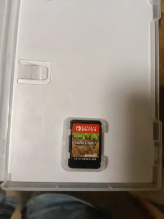 Minecraft Nintendo Switch