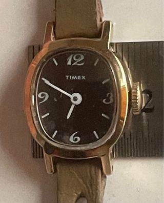 Reloj Timex Mujer Dorado y marrón