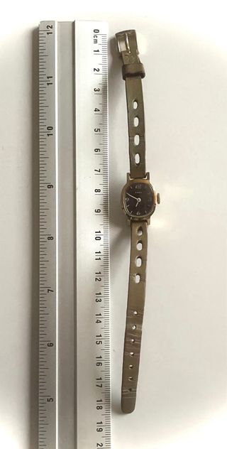 Reloj Timex Mujer Dorado y marrón