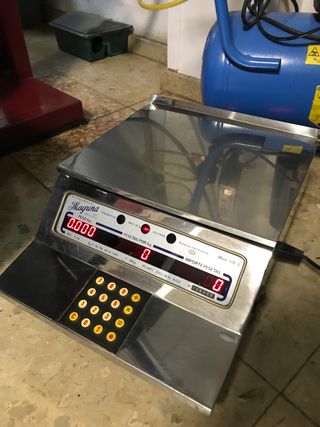 Balanza Comercial Magriña SB 5