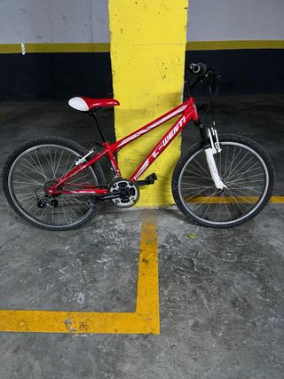Bicicleta Roja