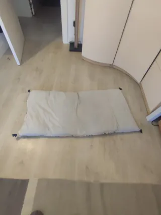 Colchonetas para tumbona o suelo