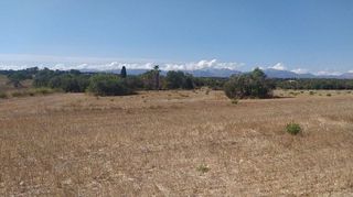 Terreno en venta en Algaida