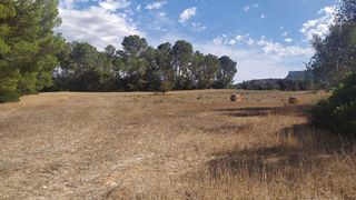 Terreno en venta en Algaida