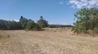 Terreno en venta en Algaida