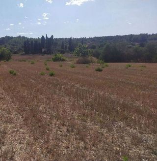 Terreno en venta en Algaida