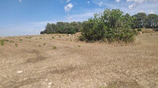 Terreno en venta en Algaida