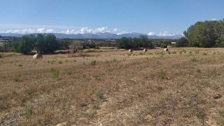 Terreno en venta en Algaida