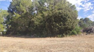 Terreno en venta en Algaida