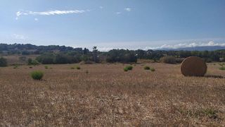 Terreno en venta en Algaida