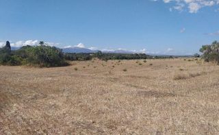 Terreno en venta en Algaida