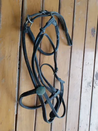 Briglia per cavallo in cuoio
