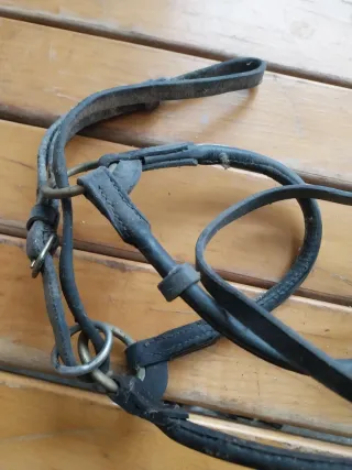 Briglia per cavallo in cuoio
