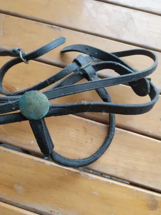 Briglia per cavallo in cuoio