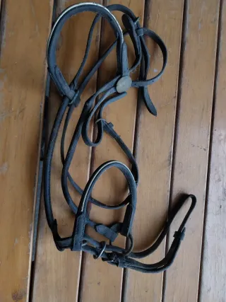 Briglia per cavallo in cuoio