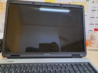 Toshiba Satellite P100 17” Retro