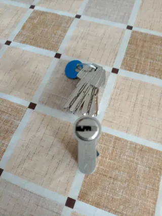 Bombín TESA Seguridad Puerta