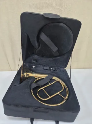 Trompa natural con estuche